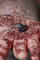 Class Rings