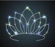 Miss PSD Pageant 5th - 12th grades