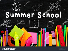 PHS 2020 Summer School