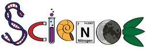 Science Fair Winners Announced